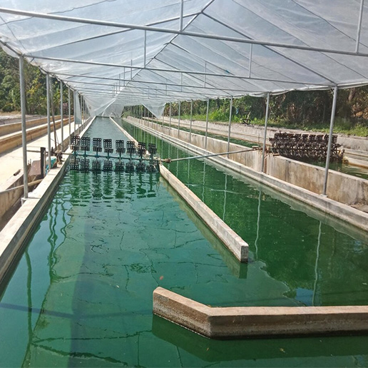 Aqua Farm Transformer - Reliable power for aquaculture systems