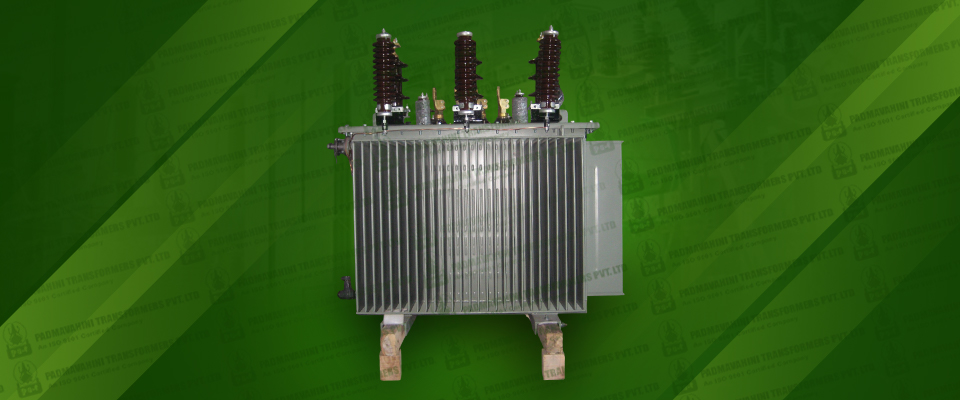 padmavahini  pole mounter transformer